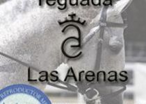 YEGUADA LAS ARENAS